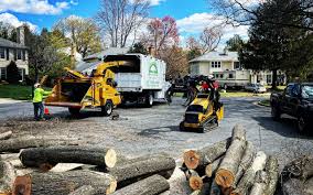 Best Lawn Disease Treatment  in Lake Ketchum, WA