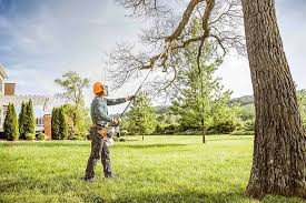Best Tree Maintenance Programs  in Lake Ketchum, WA